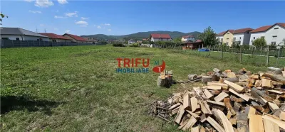 Teren de vanzare Alba Micesti, 1200 mp - foto 1