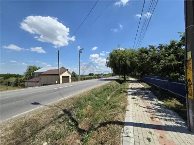 Teren 4800MP - Tomesti - La Soseaua Principala - foto 2