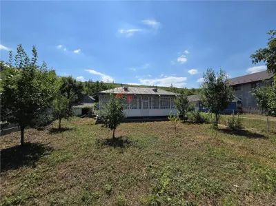Teren 4800MP - Tomesti - La Soseaua Principala - foto 6