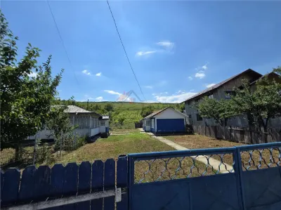 Teren 4800MP - Tomesti - La Soseaua Principala - foto 7