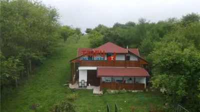 Casa de vanzare in Alba Iulia 5 camere 2300 mp teren - foto 3