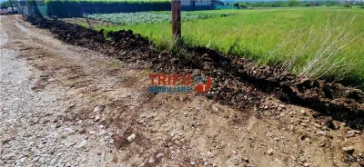 Teren de vanzare 2375 mp in Oarda de Jos - foto 3