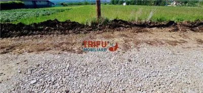 Teren de vanzare 2375 mp in Oarda de Jos - foto 6