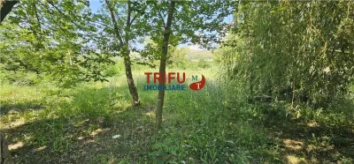 Teren de vanzare cu iesire la raul Mures 1200 mp - foto 4