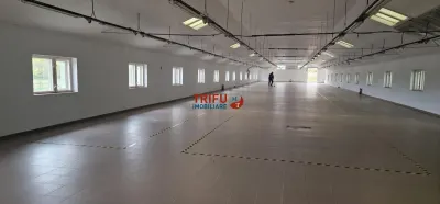 Hala de inchiriat zona Sebes cu posibilitate de cumparare - foto 4