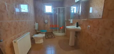 Casa individuala 7 camere in zona Pietei Cetate - foto 18