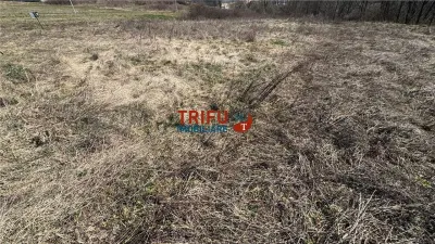 Teren 675 mp | Comuna Ciugud (Teleac) | Oază de liniște - foto 3