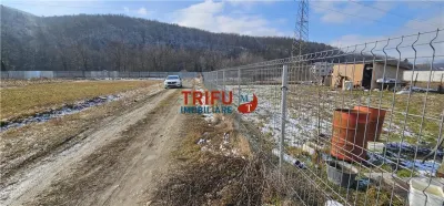 Teren pentru casa in Sard - foto 6