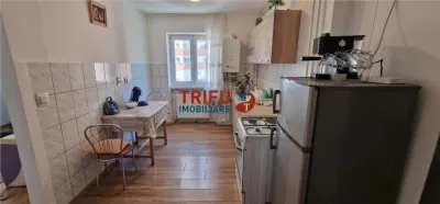 Apartament 2 camere de vanzare zona Cetate - foto 6