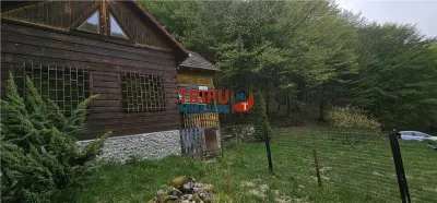 Casă de vacanță la pădure | Teren 891 mp | Valea Ighielului - foto 13