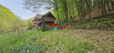 Casă de vacanță la pădure | Teren 891 mp | Valea Ighielului - foto 14