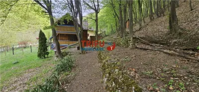 Casă de vacanță la pădure | Teren 891 mp | Valea Ighielului - foto 15