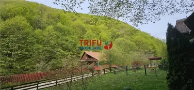 Casă de vacanță la pădure | Teren 891 mp | Valea Ighielului - foto 16