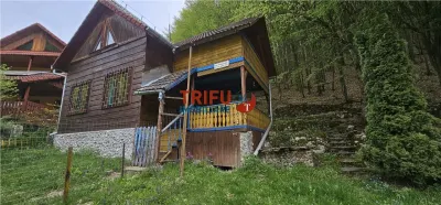 Casă de vacanță la pădure | Teren 891 mp | Valea Ighielului - foto 10