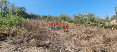 Teren 410 mp de vanzare in zona Alba Micesti partea stanga - foto 2
