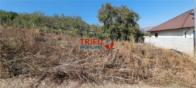 Teren 410 mp de vanzare in zona Alba Micesti partea stanga - foto 3