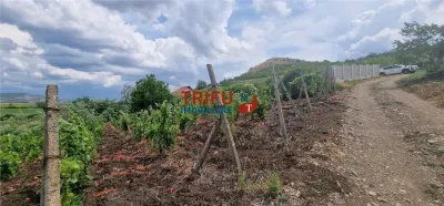 Teren 600 mp accesibil în Șard, zonă liniștită - foto 2