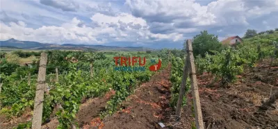Teren 600 mp accesibil în Șard, zonă liniștită - foto 4