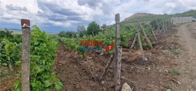 Teren 600 mp accesibil în Șard, zonă liniștită - foto 5