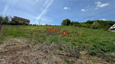 Teren pentru casa de vacanta in Micesti - foto 1
