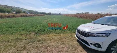 Teren intravilan 4356 mp de vanzare in Teleac langa terenul de golf - foto 2