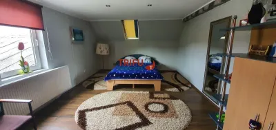 Casa 7 camere 800mp teren si piscina - foto 17
