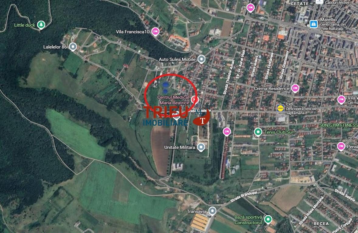 Teren intravilan construibil 766mp Cetate zona Schit - Alba Iulia