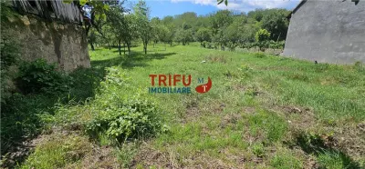 Casa de vanzare in comuna Cricau 1534mp teren - foto 13