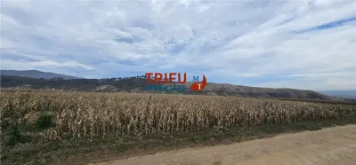 Teren Extravilan în Zona Paclisa, Alba Iulia 3400mp - foto 1