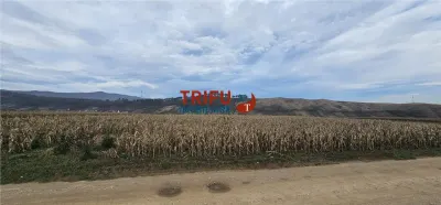 Teren Extravilan în Zona Paclisa, Alba Iulia 3400mp - foto 3