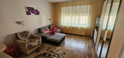 Casa de vanzare pretabila 2 familii in Pianu de Sus - foto 4
