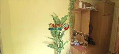Apartament 3 camere Cetate zona Mercur  2 băi - foto 2