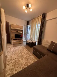 Inchiriere 2 camere decomandat, etaj 1 str Bazei, Valea Adanca - foto 2