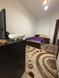 Inchiriere 2 camere decomandat, etaj 1 str Bazei, Valea Adanca - foto 7