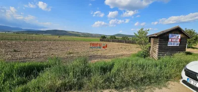 Teren construibil 300mp zona Micesti - foto 4