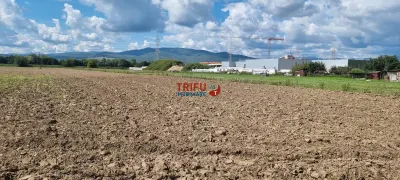 Teren Intravilan, 1ha,  langa noul Mall - foto 3