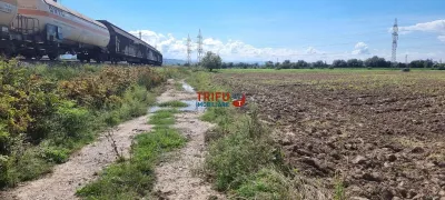 Teren Intravilan, 1ha,  langa noul Mall - foto 4