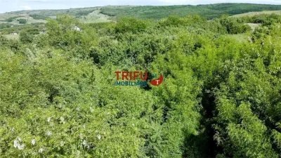 Teren intravilan 4600mp in Oarda de Sus - foto 5