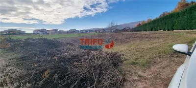 Teren Intravilan de Vanzare in Alba Micesti – Oportunitate Unica! - foto 2