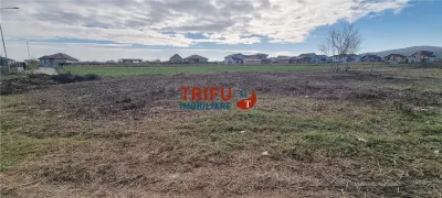 Teren Intravilan de Vanzare in Alba Micesti – Oportunitate Unica! - foto 3