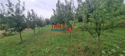 Teren de vanzare, 1785 mp in Paclisa cu utilitati - foto 3