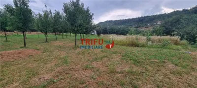Teren de vanzare, 1785 mp in Paclisa cu utilitati - foto 5