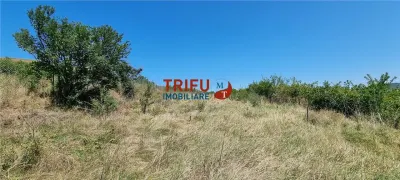 Cabana de vanzare zona Sard cu teren intravilan de 1950 mp - foto 11