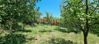Cabana de vanzare zona Sard cu teren intravilan de 1950 mp - foto 14