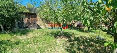 Cabana de vanzare zona Sard cu teren intravilan de 1950 mp - foto 15