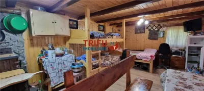 Cabana de vanzare zona Sard cu teren intravilan de 1950 mp - foto 4