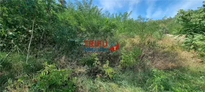 Teren intravilan de vanzare pe Valea Popii 1250mp - foto 2
