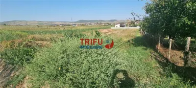 Teren intravilan 1000 mp de vanzare zona Alba-Micesti - foto 2