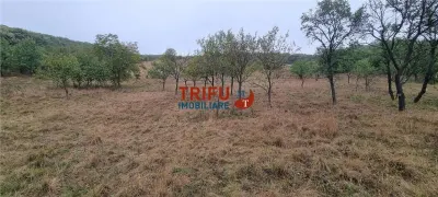 Teren intravilan 1808 mp zona Skit cu priveliste spectaculoasa - foto 2