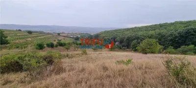 Teren intravilan 1808 mp zona Skit cu priveliste spectaculoasa - foto 3